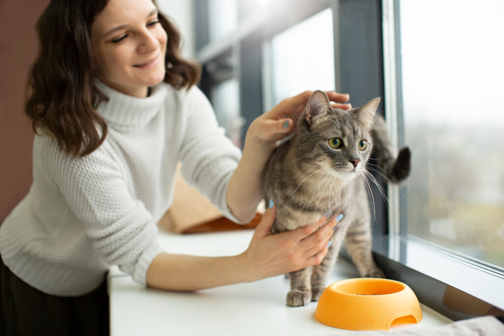 maitresse caresse son chat au bord de la fenetre
